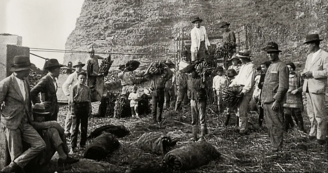 Empaquetados de plátanos